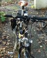 Lupine Betty 2011 mounted on bike, front view