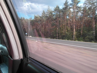 3769.jpg