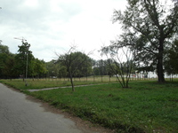 3982.jpg